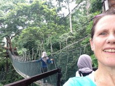 FRIM canopy next stage