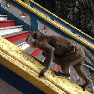 Batu Caves 24