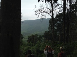 Camerion highlands Jungle trek day 2 2 10