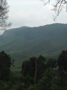 Camerion highlands Jungle trek day 2 tea