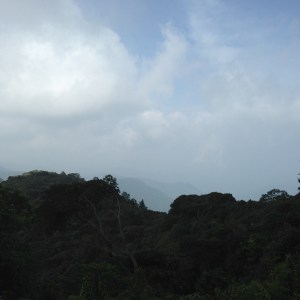 Camerion highlands Jungle trek day one blue