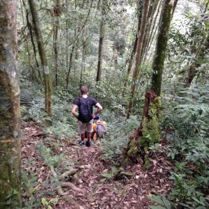 Camerion highlands Jungle trek day one descent