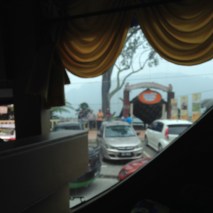 Cameron Highlands tea tourist