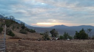 mudhumalai-sanctuary9