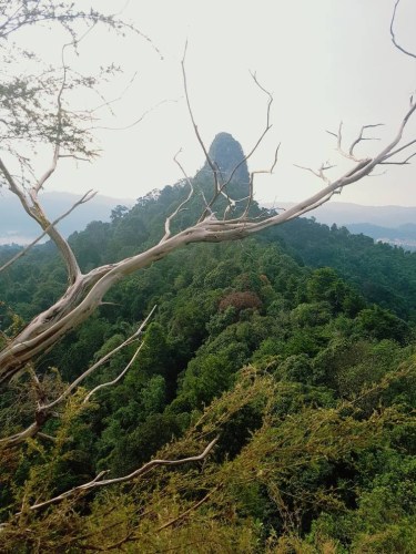 Bukit Tabur Far East