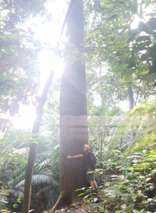 Bukit Tabur -- Far East