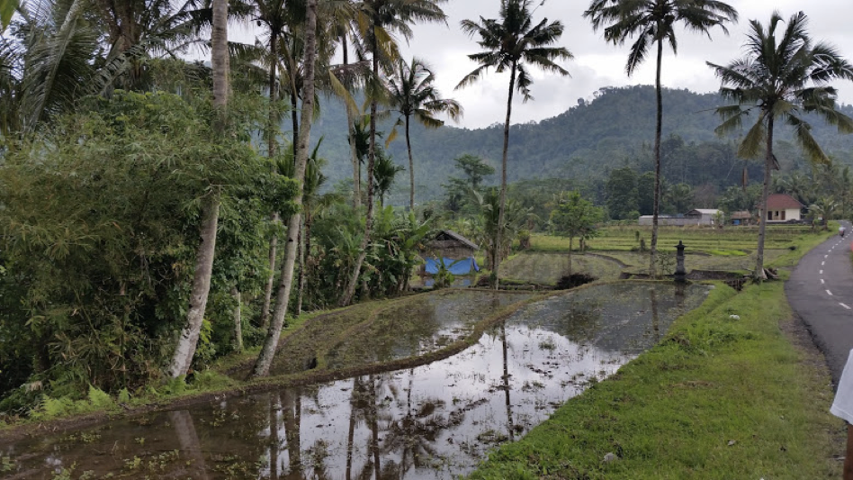 Bali temple finding the road home